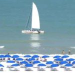 Traveling with Our Town Sarasota, Our Town Sarasota News Events