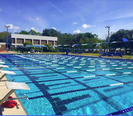 Summer Swim and Lessons Arlington, Our Town Sarasota News Events