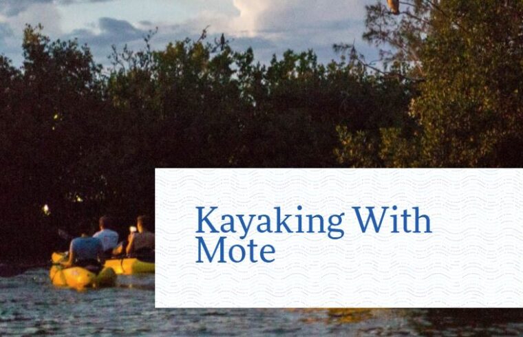 Kayaking with Mote Marine, Our Town Sarasota News Events