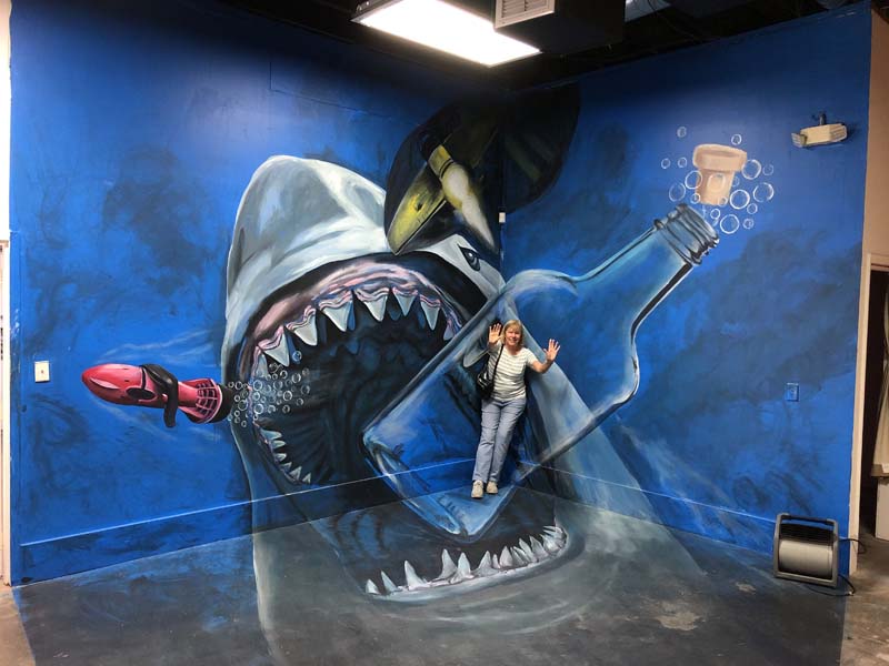 Sarasota 3-D Interactive Illusion : Kowal - Our Town Sarasota