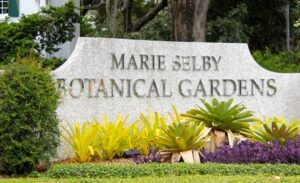Sarasota Gardening Guide, Our Town Sarasota News Events