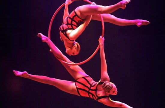 Summer Circus Performances 2022, Our Town Sarasota News Events