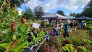 Sarasota Gardening Guide, Our Town Sarasota News Events
