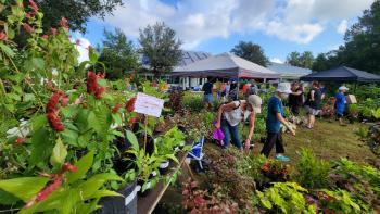 Master Gardener Plant Sale 2022, Our Town Sarasota News Events
