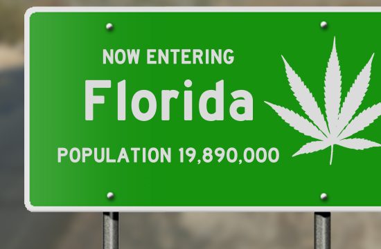 Recreational Marijuana Petition Successful, Our Town Sarasota News Events