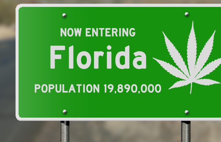 Recreational Marijuana Petition Successful, Our Town Sarasota News Events