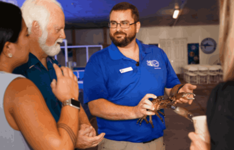 Mote Marine opens Caribbean king crab hatchery, Our Town Sarasota News Events