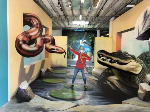 3D Illusion Museum, Our Town Sarasota News Events